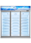 Upright Glass Door Freezer Frozen Display For Ice Cream Mrożone mięso