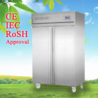 500L Commercial Small Upright Frost Free Freezer Jedna warstwa z kompresorem Aspera