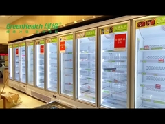Supermarket Plug-in Commercial Display Freezer Refrigerator For Mall