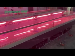 Lodówka ze świeżego mięsa Deli ze stali nierdzewnej do sklepu mięsnego