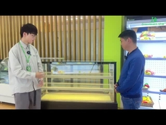 Szklana przednia otwarta zamrażarka do ciasta samozamrażarka