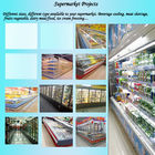 Profesjonalne projekty supermarketów Urządzenia chłodnicze do owoców / warzyw