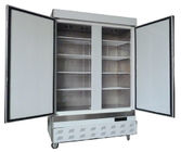 Commercial Upright Freezer, Kitchen Refrigerator Zamrażarka CE CB
