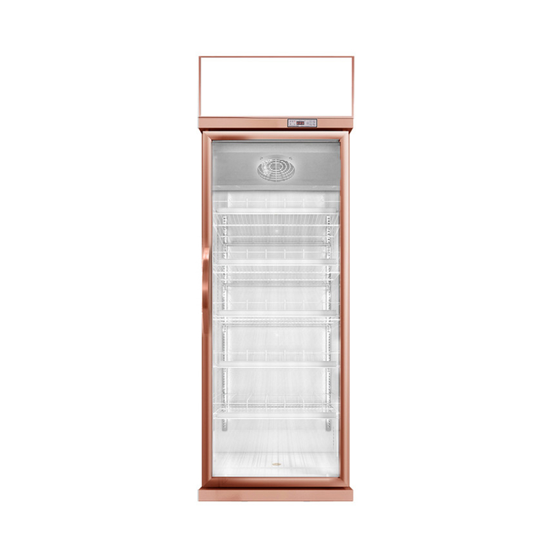 457L Mini Glass Door Display Cooler 1 Door Display Freezer dla Stanów Zjednoczonych Standard 17 Cu.Ft.