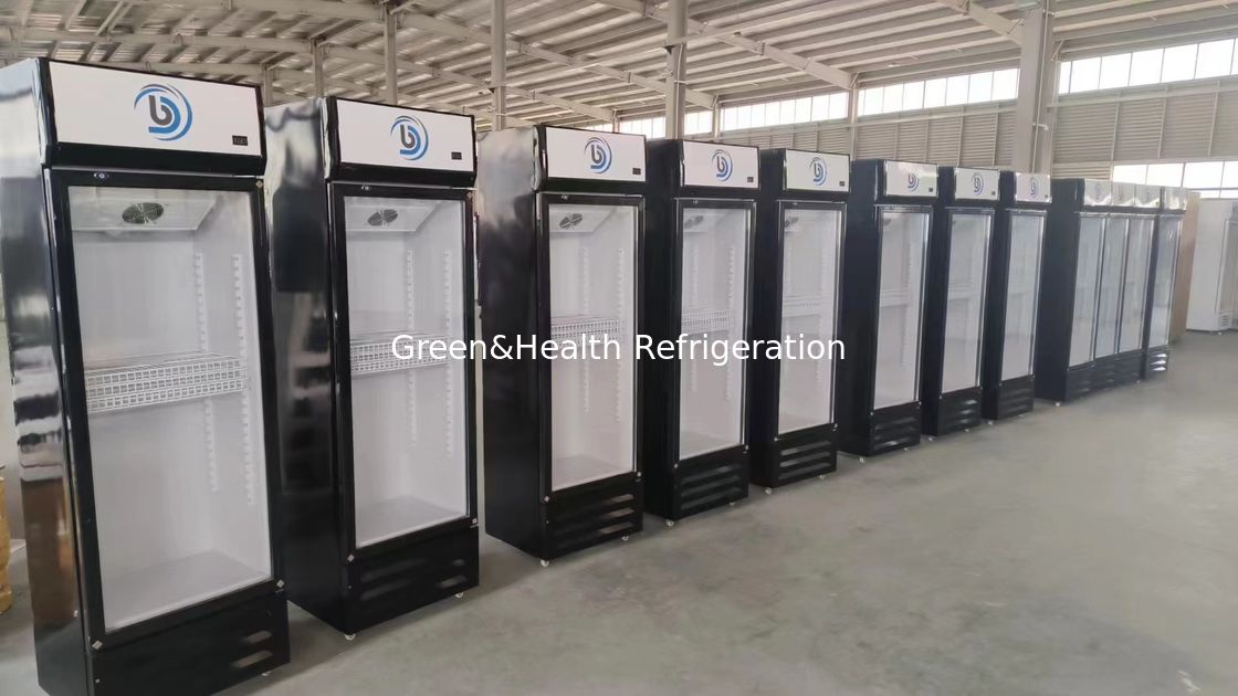 Chłodnia do napojów ze szkła z bezpośrednim chłodzeniem powietrza