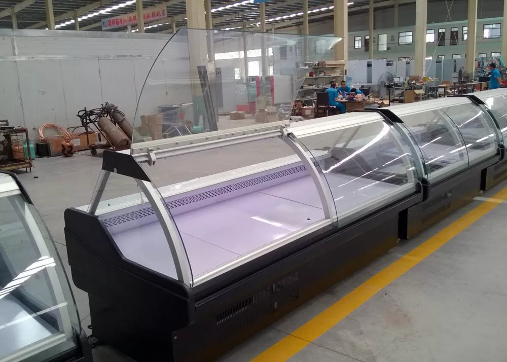 System z wtyczką wyświetlacz Deli lodówka wyświetlacz mięsa chłodnia Case For Shop