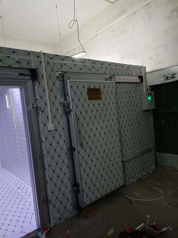 Mroźna komora do przechowywania warzyw / owoców / mięsa / ryb z twardymi pianami poliuretanowymi