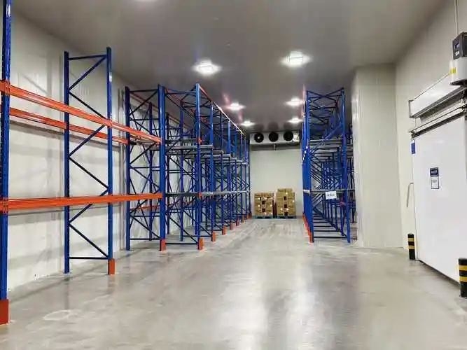 Zbiórka magazynowa pomieszczenie chłodnie pomieszczenie chłodnie z systemem chłodzenia
