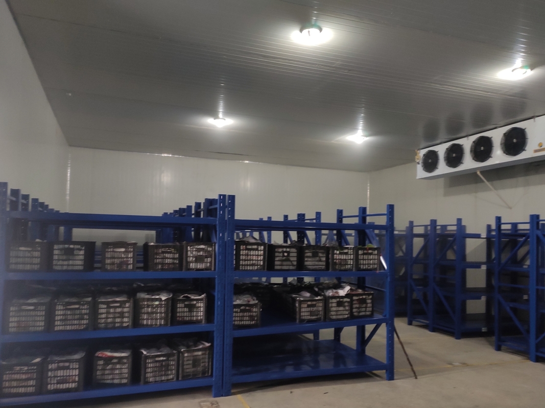 Małe pomieszczenie chłodnicze do przechowywania produktów spożywczych