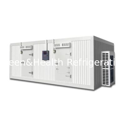 Zastosowalny chłodny magazyn dla wołowiny i mięsa zamrażanie spacer w pokoju