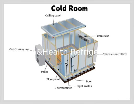 Panel PU Żywność Pokój chłodniczy Restauracja Kuchnia handlowa Walking In Freezer