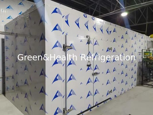 Energooszczędne pomieszczenie chłodne z wysokiej wydajności panelami PU