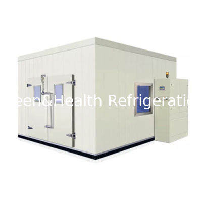 Kompresor System chłodzenia Pokój do przechowywania zimna Wchodzenie w zamrażarkę z podłogiem