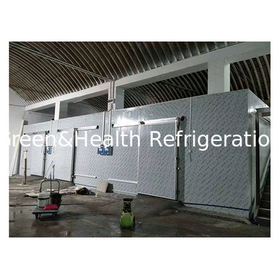 Duży komercyjny supermarket, mrożone i chłodzone przechowywanie owoców/warzyw, chłodnia