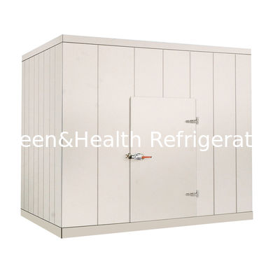 220V / 380V Handlowy spacer w pokoju chiller do warzyw Mięso z owoców morza