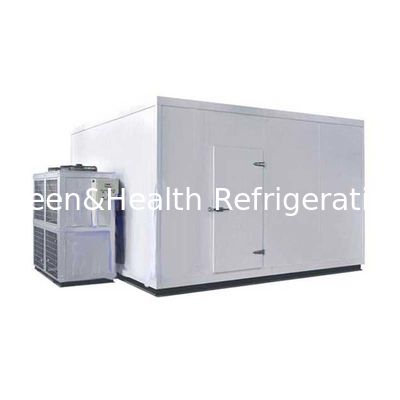 Dostosowany rozmiar Blast Chiller Freezer Warehouse Cold Container Copeland Compressor